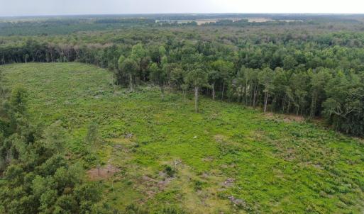 Photo #25 of Tbd Johns Mill, Maxton, NC 20.0 acres