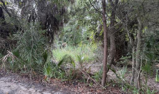 Photo #1 of 12 Captain Charlies, Bald Head Island, NC 0.2 acres