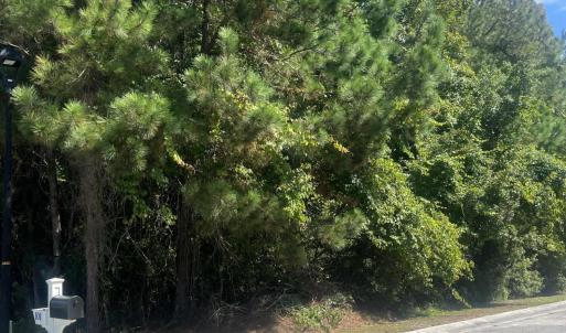 Photo #2 of 103 Capn Pat, Morehead City, NC 0.5 acres