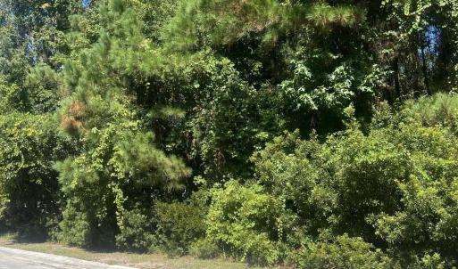 Photo #3 of 103 Capn Pat, Morehead City, NC 0.5 acres