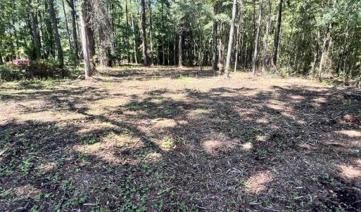 Photo #7 of Lot 1 Elm, Belhaven, NC 0.3 acres