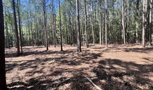 Photo #5 of Lot 1 Elm, Belhaven, NC 0.3 acres