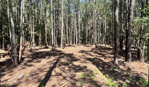 Photo #3 of Lot 1 Elm, Belhaven, NC 0.3 acres