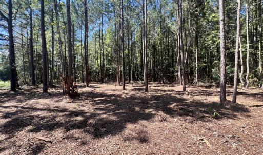Photo #4 of Lot 1 Elm, Belhaven, NC 0.3 acres