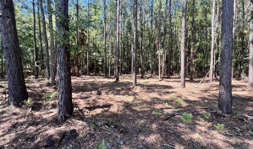 Photo #4 of Lot 2 Elm, Belhaven, NC 0.3 acres
