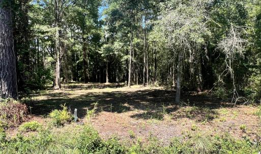 Photo #3 of Lot 2 Elm, Belhaven, NC 0.3 acres