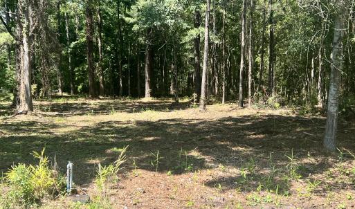 Photo #2 of Lot 3 Elm, Belhaven, NC 0.2 acres