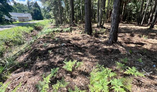 Photo #5 of Lot 3 Elm, Belhaven, NC 0.2 acres