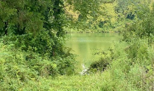 Photo #3 of 846 Harriett, Pollocksville, NC 5.1 acres