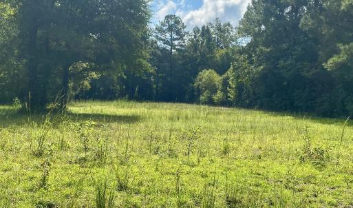 Photo #4 of 846 Harriett, Pollocksville, NC 5.1 acres