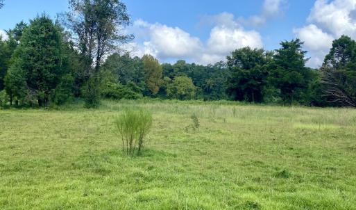Photo #2 of 846 Harriett, Pollocksville, NC 5.1 acres