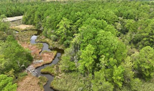 Photo #7 of 102 Cummins Creek, Beaufort, NC 11.5 acres