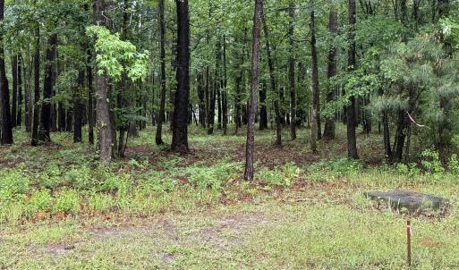 Photo #6 of Stillwater, Belhaven, NC 1.4 acres