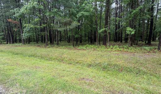 Photo #2 of Stillwater, Belhaven, NC 1.4 acres