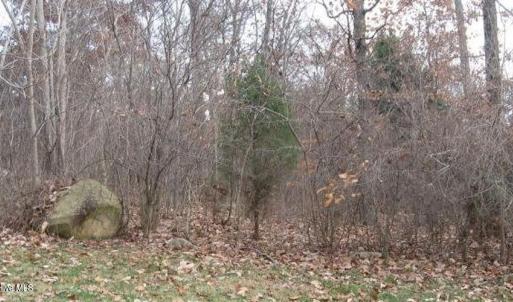 Photo #2 of 75002 Miller, Chapel Hill, NC 0.5 acres
