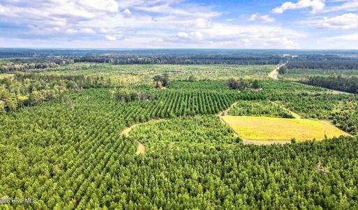 Photo #22 of 795 Pollard Swamp, Vanceboro, NC 214.8 acres
