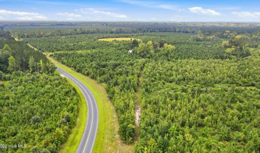 Photo #18 of 795 Pollard Swamp, Vanceboro, NC 214.8 acres