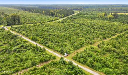 Photo #16 of 795 Pollard Swamp, Vanceboro, NC 214.8 acres
