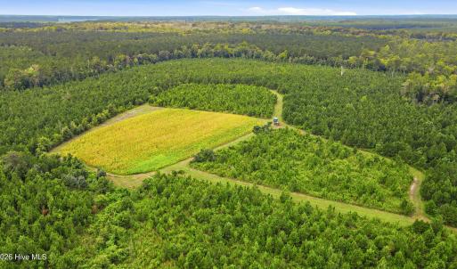 Photo #12 of 795 Pollard Swamp, Vanceboro, NC 214.8 acres