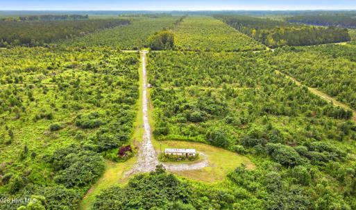 Photo #15 of 795 Pollard Swamp, Vanceboro, NC 214.8 acres