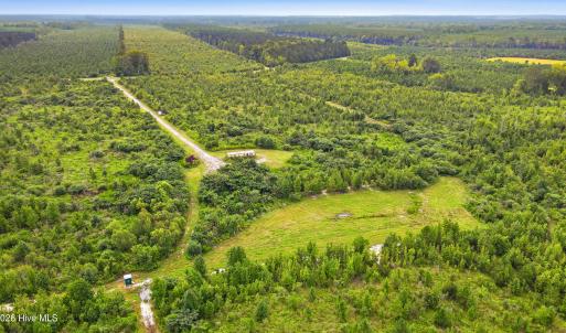 Photo #13 of 795 Pollard Swamp, Vanceboro, NC 214.8 acres