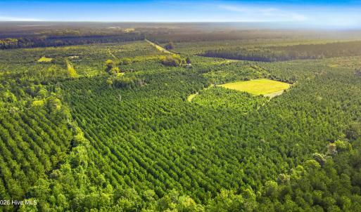 Photo #1 of 795 Pollard Swamp, Vanceboro, NC 214.8 acres