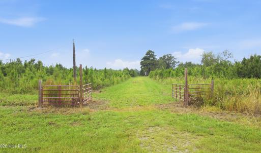 Photo #8 of 795 Pollard Swamp, Vanceboro, NC 214.8 acres