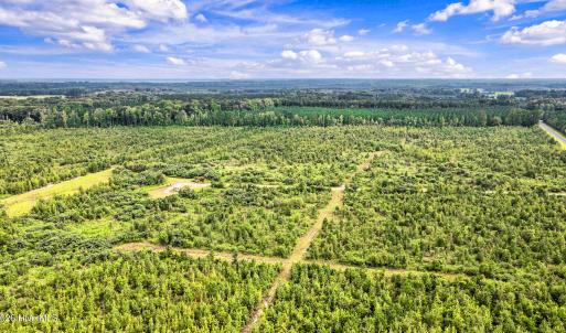 Photo #24 of 795 Pollard Swamp, Vanceboro, NC 214.8 acres