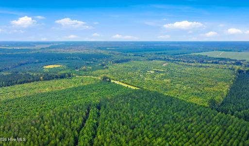 Photo #19 of 795 Pollard Swamp, Vanceboro, NC 214.8 acres