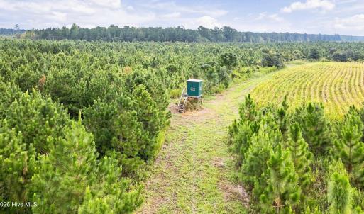 Photo #29 of 795 Pollard Swamp, Vanceboro, NC 214.8 acres
