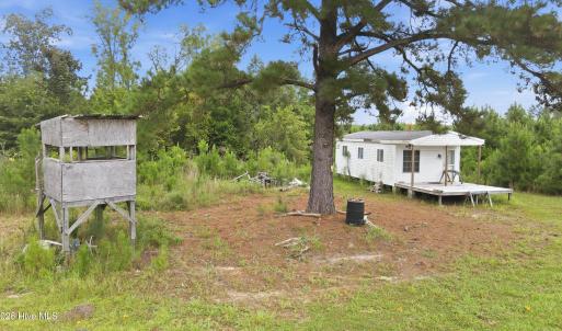 Photo #9 of 795 Pollard Swamp, Vanceboro, NC 214.8 acres