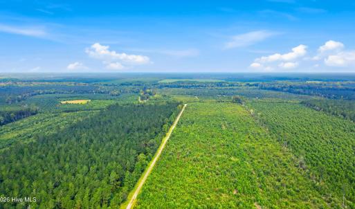 Photo #6 of 795 Pollard Swamp, Vanceboro, NC 214.8 acres