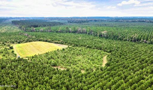 Photo #27 of 795 Pollard Swamp, Vanceboro, NC 214.8 acres