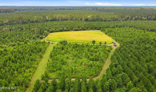 Photo #11 of 795 Pollard Swamp, Vanceboro, NC 214.8 acres