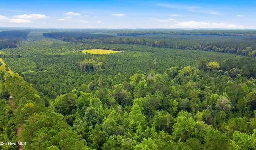 Photo #7 of 795 Pollard Swamp, Vanceboro, NC 214.8 acres
