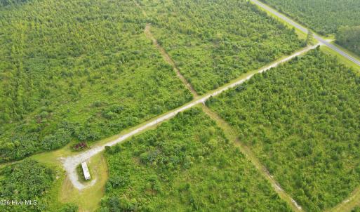 Photo #5 of 795 Pollard Swamp, Vanceboro, NC 214.8 acres