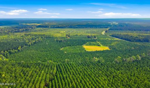 Photo #3 of 795 Pollard Swamp, Vanceboro, NC 214.8 acres