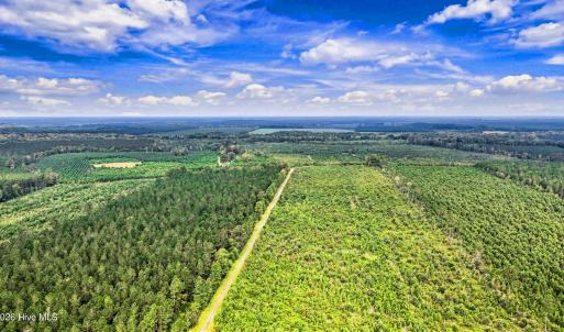 Photo #26 of 795 Pollard Swamp, Vanceboro, NC 214.8 acres