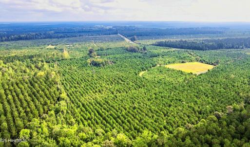 Photo #21 of 795 Pollard Swamp, Vanceboro, NC 214.8 acres