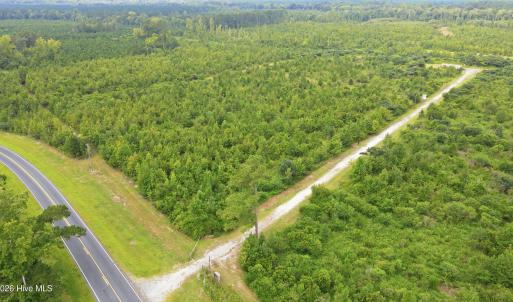 Photo #17 of 795 Pollard Swamp, Vanceboro, NC 214.8 acres