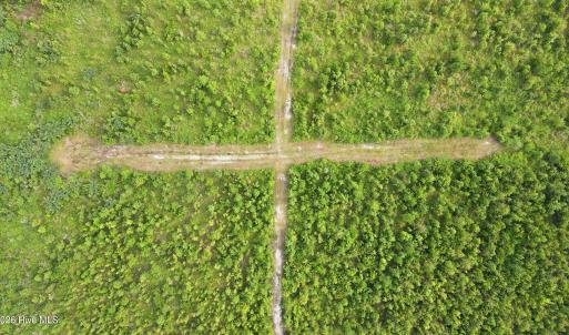 Photo #4 of 795 Pollard Swamp, Vanceboro, NC 214.8 acres