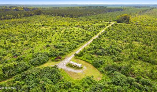 Photo #14 of 795 Pollard Swamp, Vanceboro, NC 214.8 acres