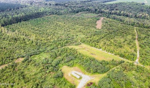 Photo #25 of 795 Pollard Swamp, Vanceboro, NC 214.8 acres