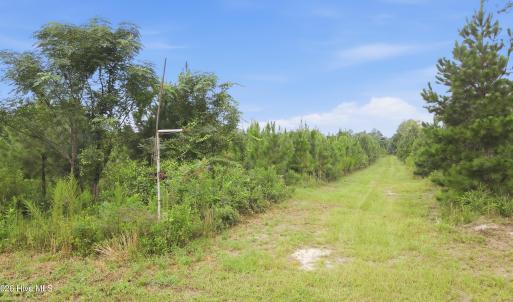 Photo #10 of 795 Pollard Swamp, Vanceboro, NC 214.8 acres