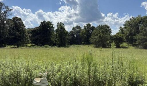 Photo #6 of 255 Bridge, Jacksonville, NC 5.8 acres