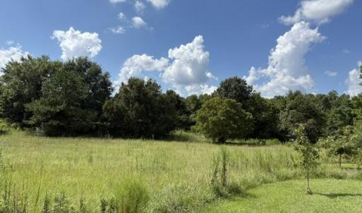 Photo #5 of 255 Bridge, Jacksonville, NC 5.8 acres