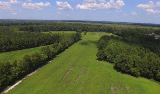 Photo #1 of Grimesland Bridge, Grimesland, NC 56.5 acres