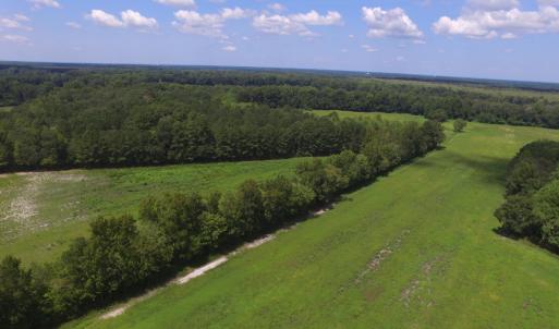 Photo #4 of Grimesland Bridge, Grimesland, NC 56.5 acres