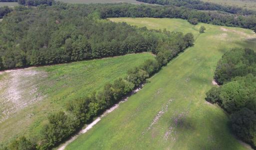 Photo #2 of Grimesland Bridge, Grimesland, NC 56.5 acres