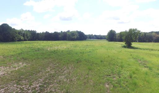 Photo #7 of Grimesland Bridge, Grimesland, NC 56.5 acres